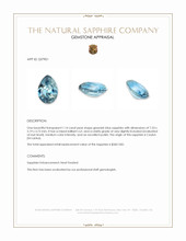 1.14 Ct. Greenish Blue Sapphire from Ceylon (Sri Lanka) Appraisal