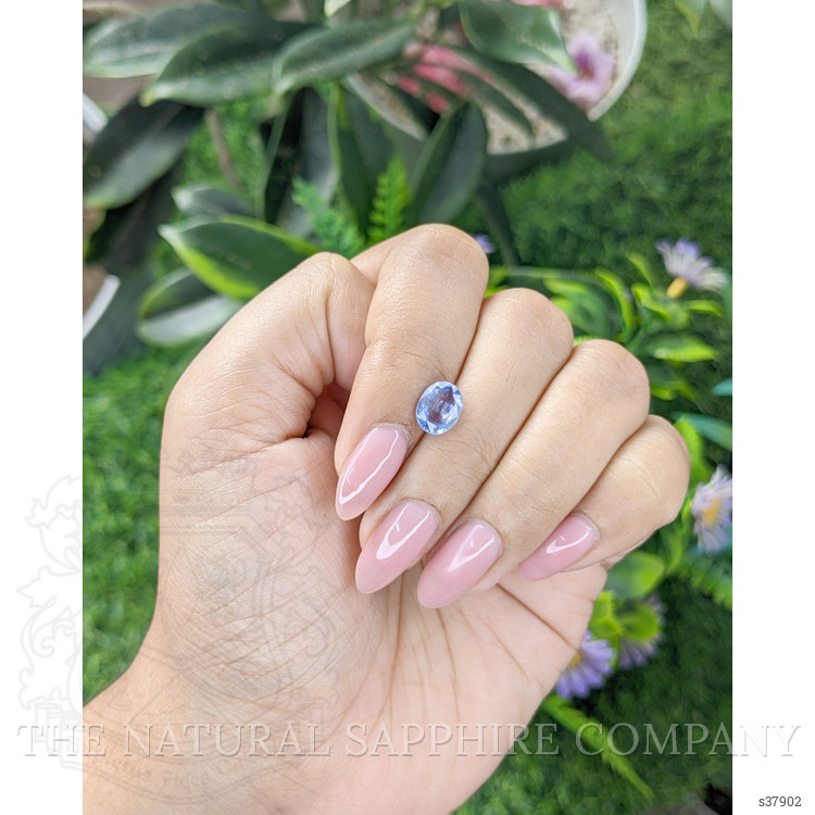 1.67 Ct. Blue Sapphire from Ceylon (Sri Lanka)
