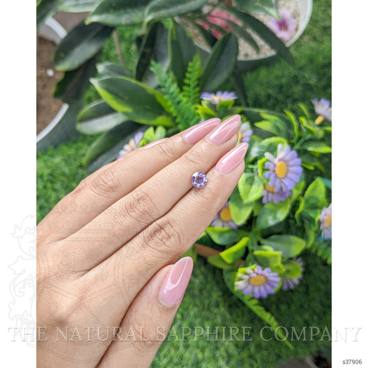 1.10 Ct. Purple Sapphire from Ceylon (Sri Lanka)