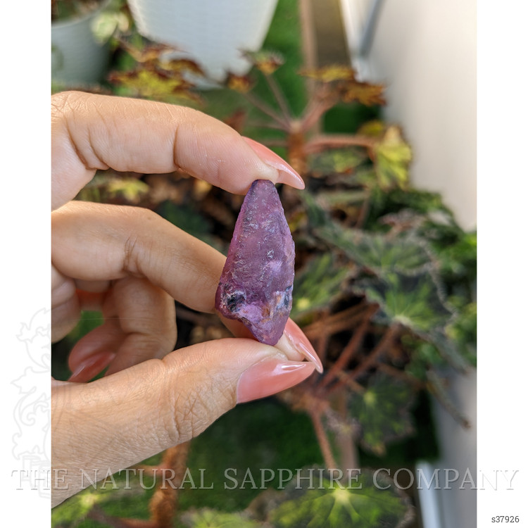 55.87 Ct. Pinkish Purple Sapphire Crystal from Ceylon (Sri Lanka)