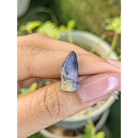 10.46 Ct. Bi Color Sapphire Crystal from Ceylon (Sri Lanka) Life Style