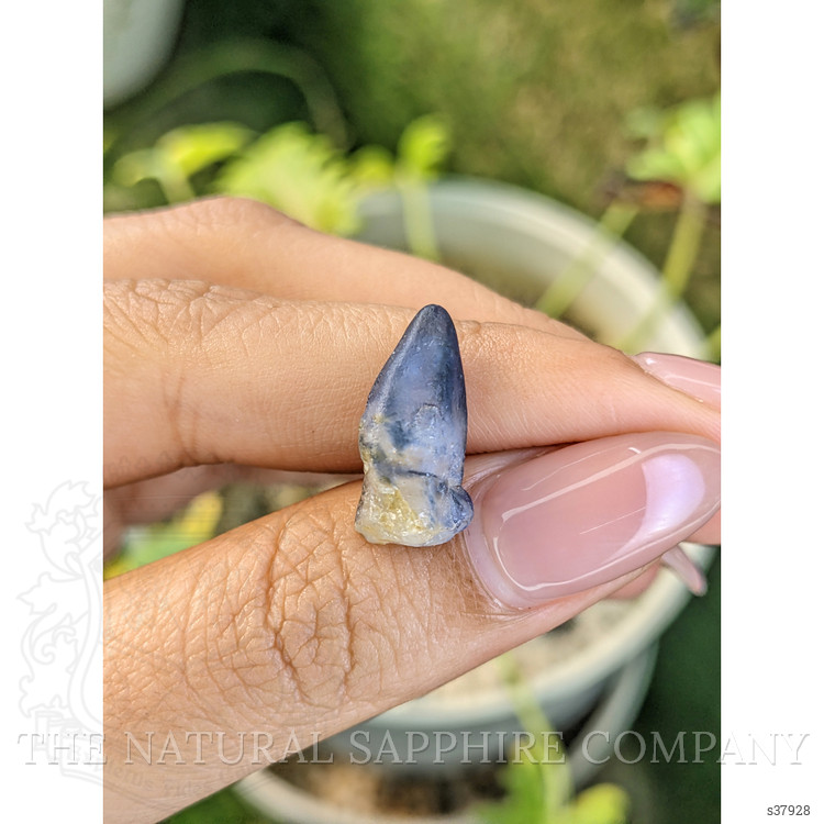 10.46 Ct. Bi Color Sapphire Crystal from Ceylon (Sri Lanka)