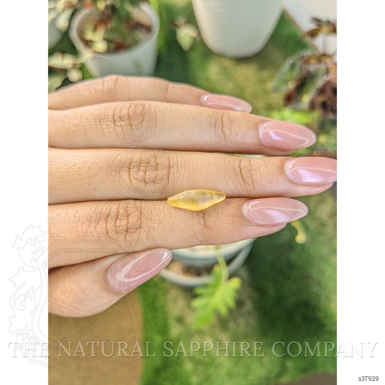 3.72 Ct. Yellow Sapphire Crystal from Ceylon (Sri Lanka)