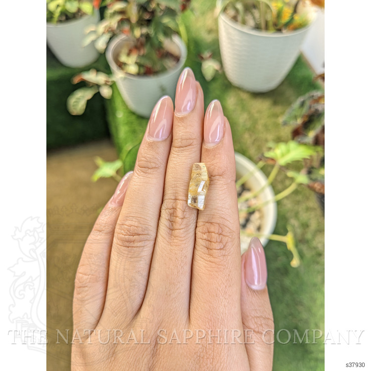 7.88 Ct. Yellow Sapphire Crystal from Ceylon (Sri Lanka)