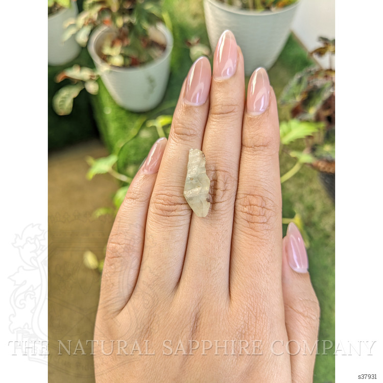 12.11 Ct. Greenish Yellow Sapphire Crystal from Ceylon (Sri Lanka)