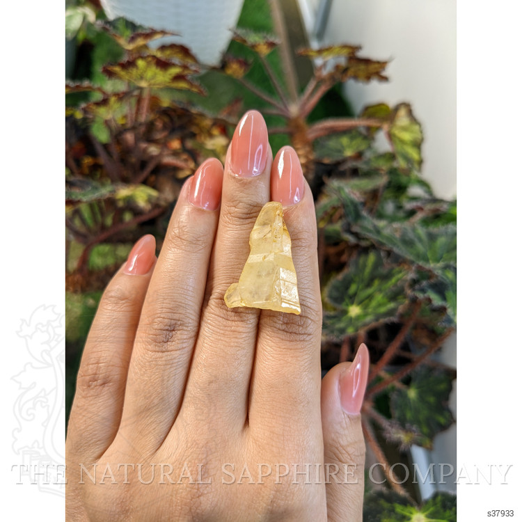 45.41 Ct. Yellow Sapphire Crystal from Ceylon (Sri Lanka)