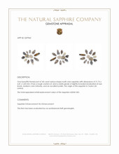 67.40 Ct. Multi Color Sapphire Crystal from Ceylon (Sri Lanka) Appraisal