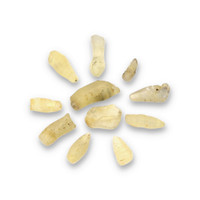 54.49 Ct. Yellow Sapphire Crystal from Ceylon (Sri Lanka) Video