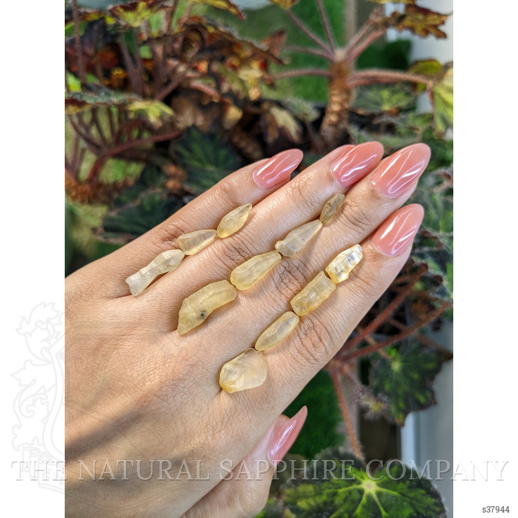 54.49 Ct. Yellow Sapphire Crystal from Ceylon (Sri Lanka)