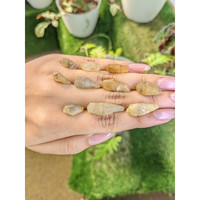 87.76 Ct. Yellow Sapphire Crystal from Ceylon (Sri Lanka) Life Style