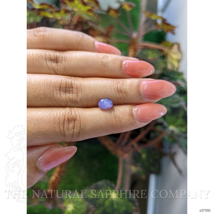 1.73 Ct. Bluish Purple Star Sapphire from Ceylon (Sri Lanka)