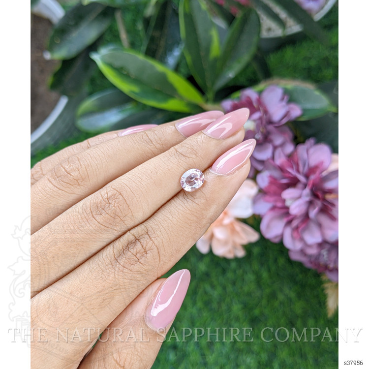 1.58 Ct. Pink Sapphire from Ceylon (Sri Lanka)