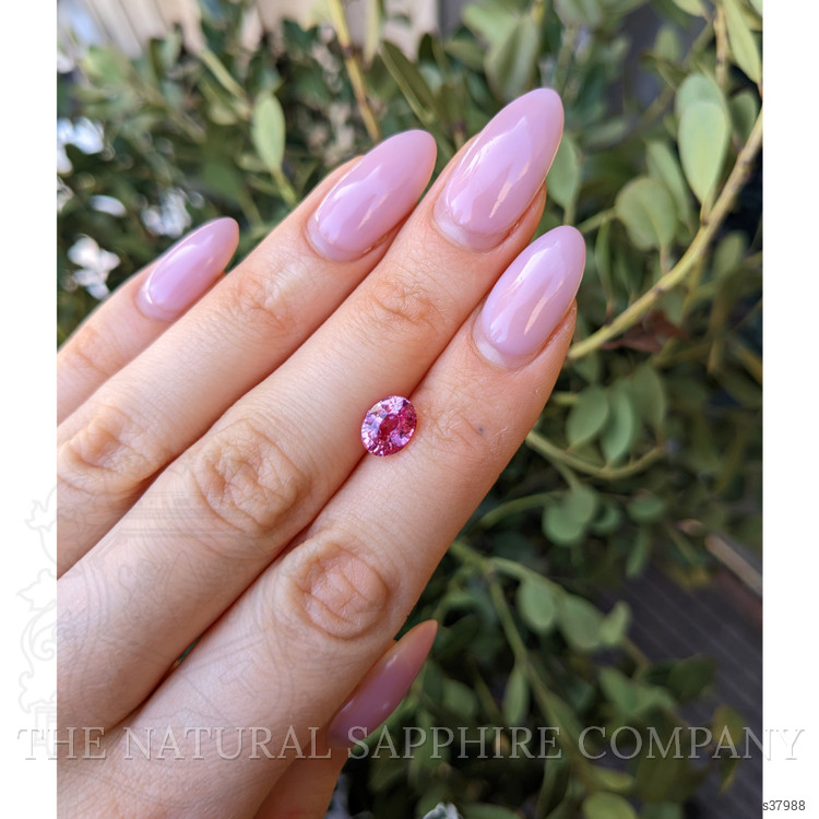 2.03 Ct. Pink Sapphire from Ceylon (Sri Lanka)