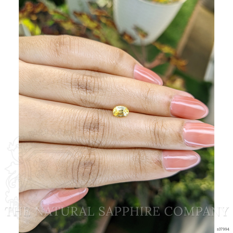1.05 Ct. Yellow Sapphire from Ceylon (Sri Lanka)