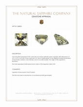 0.82 Ct. Yellowish Green Sapphire from Montana Appraisal