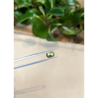 1.06 Ct. Bi Color Sapphire from Montana Life Style