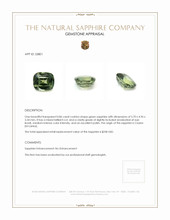 Jewelry Appraisal