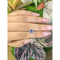 1.37 Ct. Blue Sapphire from Ceylon (Sri Lanka) Life Style