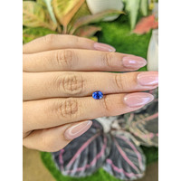 0.83 Ct. Blue Sapphire from Ceylon (Sri Lanka) Life Style