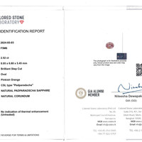 Jewelry Scan Report