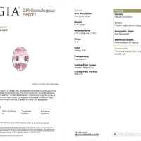 Jewelry Scan Report