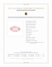 Jewelry Scan Report