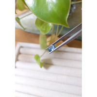 2.20 Ct. Greenish Blue Cabochon Sapphire from Montana Life Style