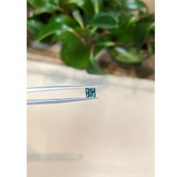 0.72 Ct. Bluish Green Sapphire from Montana Life Style