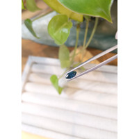 0.62 Ct. Greenish Blue Sapphire from Montana Life Style