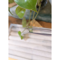 0.79 Ct. Yellowish Green Sapphire from Montana Life Style