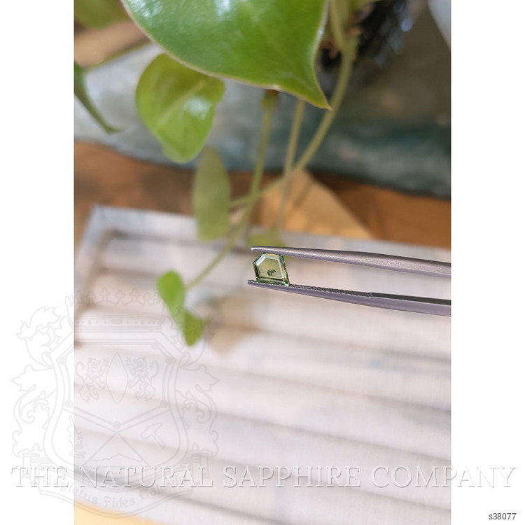 0.79 Ct. Yellowish Green Sapphire from Montana