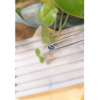 0.63 Ct. Bluish Green Sapphire from Montana Life Style