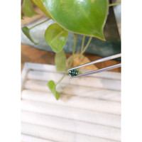 0.67 Ct. Bluish Green Sapphire from Montana Life Style