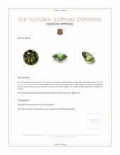 0.70 Ct. Yellowish Green Sapphire from Ceylon (Sri Lanka) Appraisal