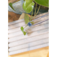 1.32 Ct. Greenish Blue Sapphire from Montana Life Style