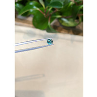 0.80 Ct. Bluish Green Sapphire from Montana Life Style