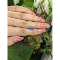 1.61 Ct. Blue Sapphire from Ceylon (Sri Lanka) Life Style