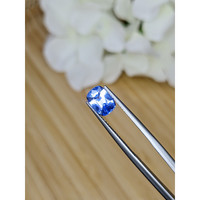 1.61 Ct. Blue Sapphire from Ceylon (Sri Lanka) Life Style