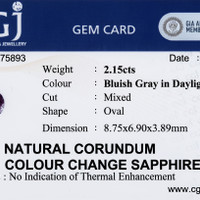 Jewelry Scan Report