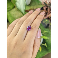 4.13 Ct. Pinkish Purple Sapphire from Ceylon (Sri Lanka) Life Style