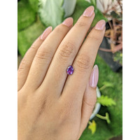 0.99 Ct. Pinkish Purple Sapphire from Ceylon (Sri Lanka) Life Style