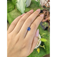 1.57 Ct. Blue Sapphire from Ceylon (Sri Lanka) Life Style
