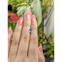 1.68 Ct. Blue Sapphire from Ceylon (Sri Lanka) Life Style