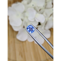 1.68 Ct. Blue Sapphire from Ceylon (Sri Lanka) Life Style