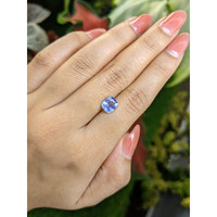 2.28 Ct. Blue Sapphire from Ceylon (Sri Lanka) Life Style