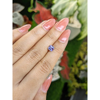 1.26 Ct. Violet Sapphire from Ceylon (Sri Lanka) Life Style
