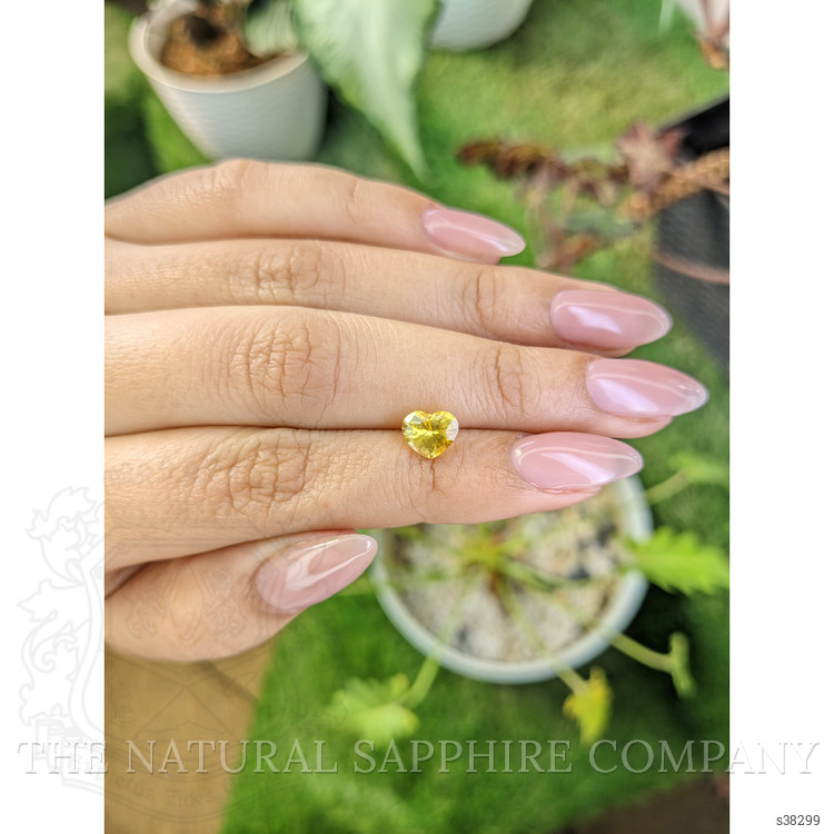 1.59 Ct. Yellow Sapphire from Ceylon (Sri Lanka)