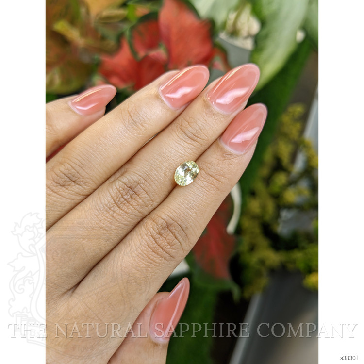 1.55 Ct. Yellow Sapphire from Ceylon (Sri Lanka)