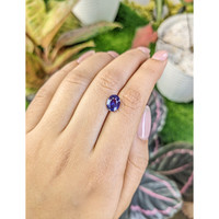 2.03 Ct. Bluish Purple Sapphire from Ceylon (Sri Lanka) Life Style