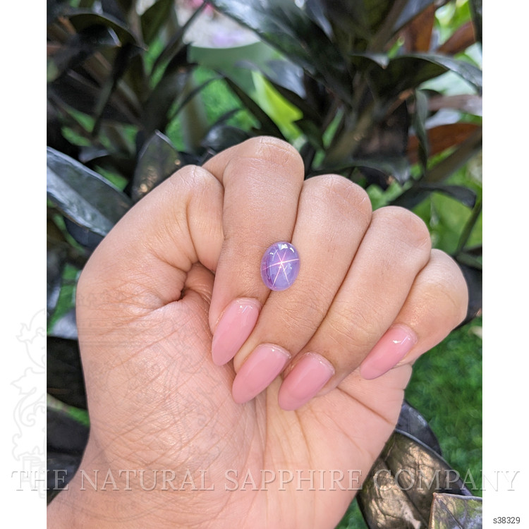6.53 Ct. Bluish Purple Star Sapphire from Ceylon (Sri Lanka)